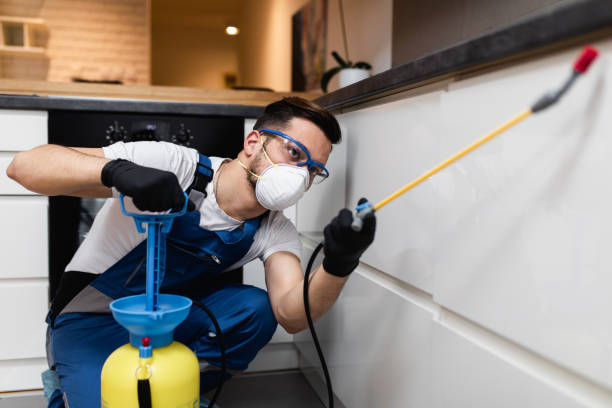 Best Rat Extermination Near Me  in Seffner, FL