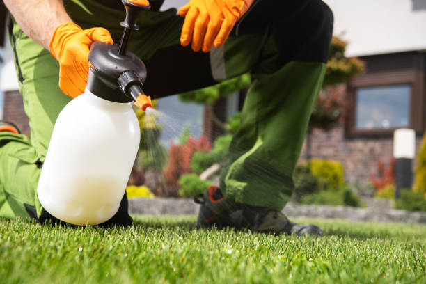 Best Wasp Removal Services  in Seffner, FL