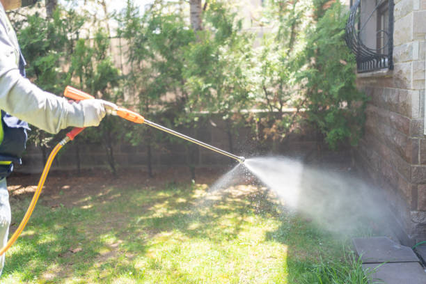 Best Pest Inspection Near Me  in Seffner, FL